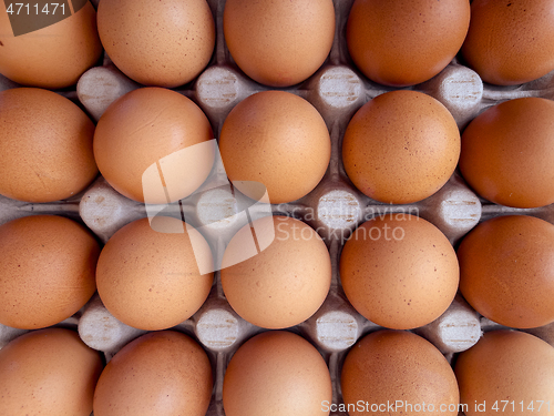 Image of Eggs in a box