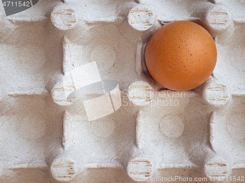 Image of Eggs in a box