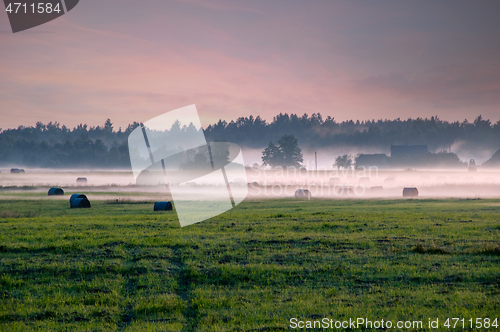 Image of Sunrise over a field with trees and fog floating above the ground