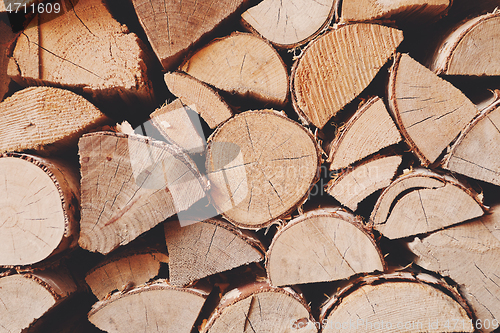 Image of pile of birch firewood for winter heating