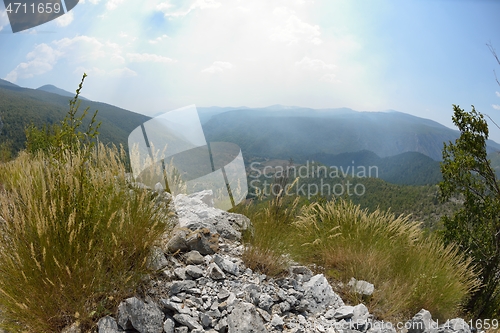 Image of summer landscape