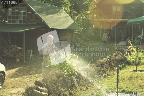 Image of gardener watering the plants