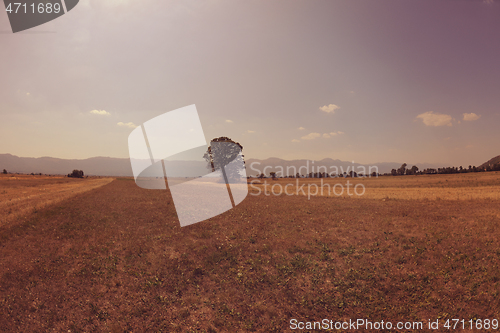 Image of summer landscape