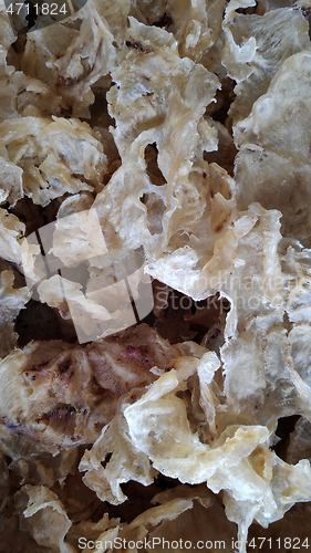 Image of Dried fish maw or bladder a delicacy in Chinese cuisine