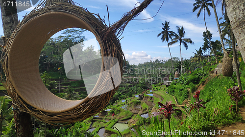 Image of Tegalalang rice terraces in Ubud, Bali