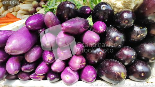 Image of Raw ripe eggplant display at vegetable stall 