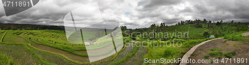 Image of Jatiluwih rice terraces in Tabanan, Bali, Indonesia.