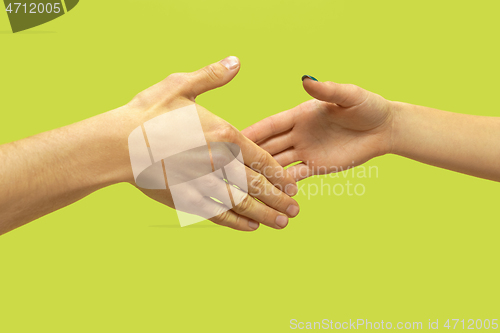 Image of Closeup shot of human holding hands isolated on green studio background.