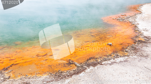 Image of hot sparkling lake in New Zealand