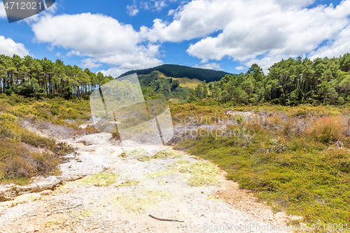 Image of geothermal activity at Rotorua in New Zealand