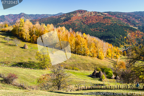 Image of Autumn scene on the hill