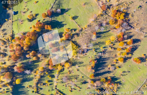Image of Beautiful autumn pasture from above