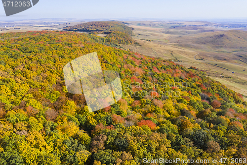 Image of Flying drone above autumn forest