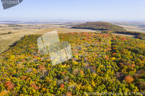 Image of Autumn forest in a rural landscape