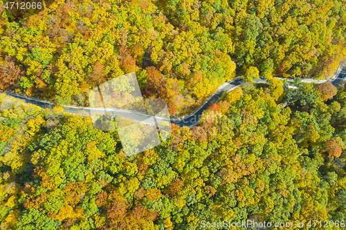 Image of Trail crossing the autumn forest.