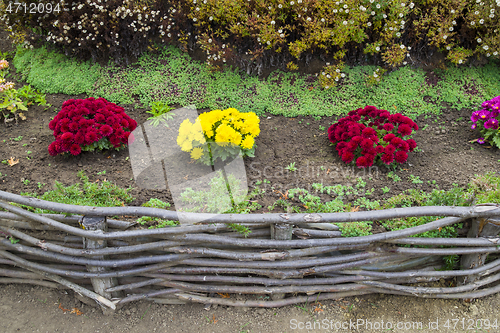 Image of Red and yellow flowers in a rural garden