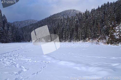 Image of Frozen lake, snow covered in the forest