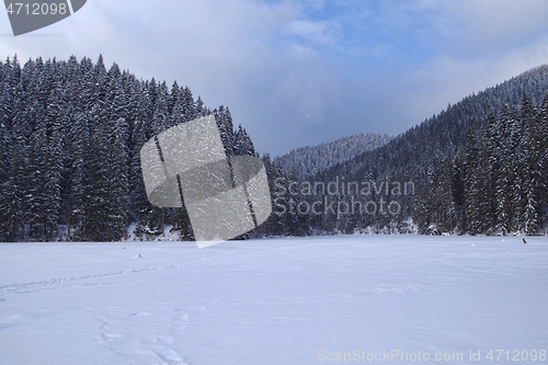 Image of Winter landscape of frozen lake in the forest