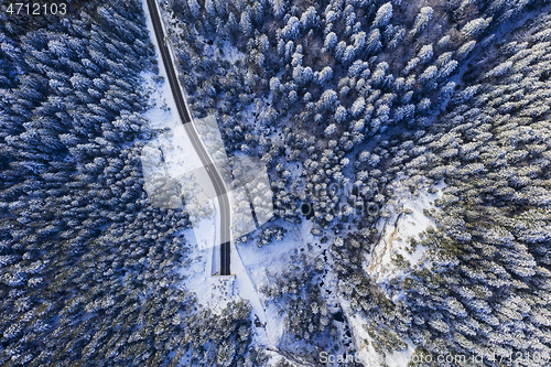 Image of Winter forest, tunnel entrance from above