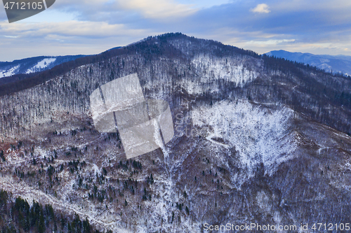 Image of Aerial view of forest in winter
