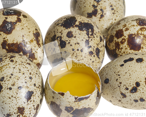 Image of some quail eggs