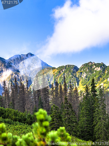 Image of Polish Tatra mountains summer landscape with blue sky and white clouds.