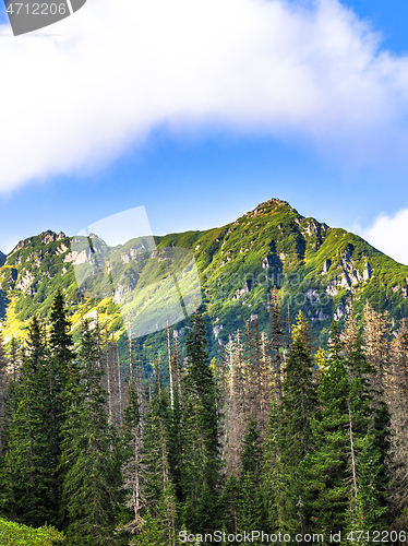 Image of Polish Tatra mountains summer landscape with blue sky and white clouds.