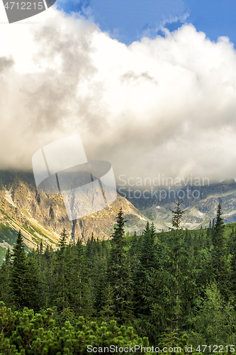 Image of Polish Tatra mountains summer landscape with blue sky and white clouds.