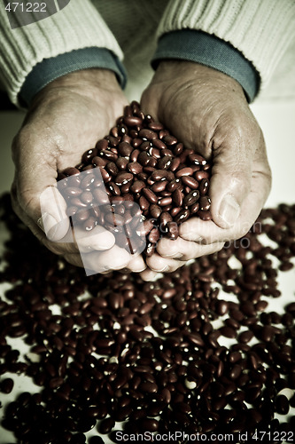 Image of Red beans
