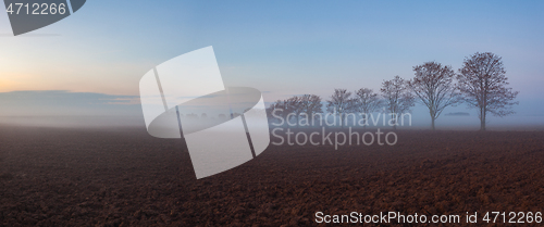 Image of Misty morning between fields.