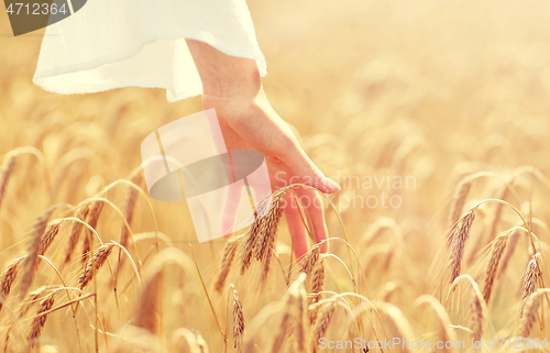 Image of close up of woman hand in cereal field