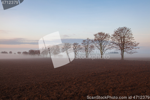 Image of Landscape covered with fog in Central Bohemian Uplands, Czech Re