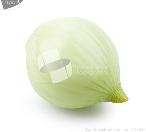 Image of fresh raw peeled onion