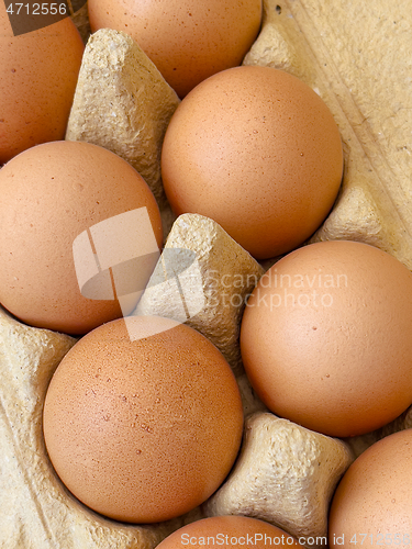 Image of Eggs in a box