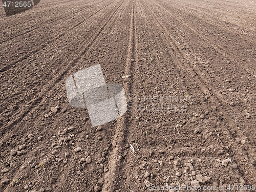 Image of Plowed field at spring