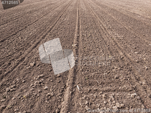 Image of Plowed field at spring