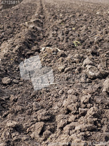 Image of Plowed field at spring