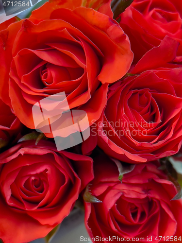 Image of Bouquet rose flower