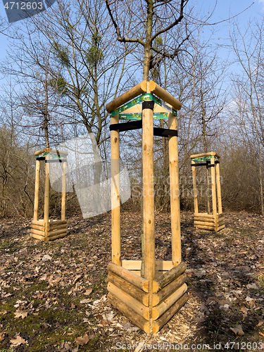 Image of Planting trees in park