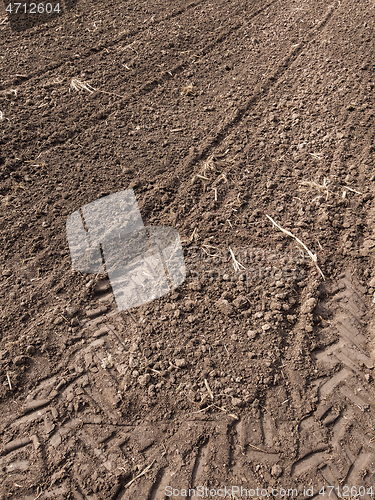 Image of Plowed field at spring