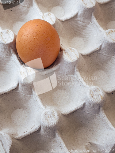 Image of Eggs in a box