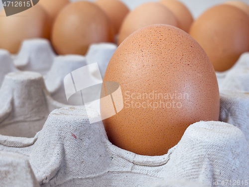 Image of Eggs in a box