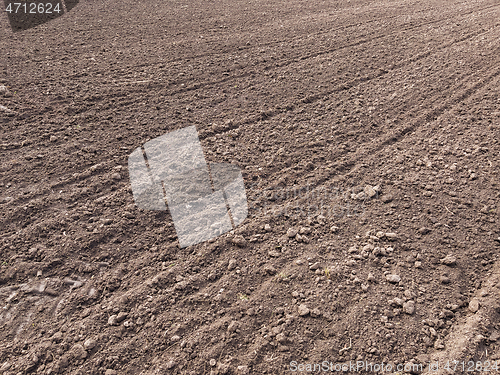 Image of Plowed field at spring