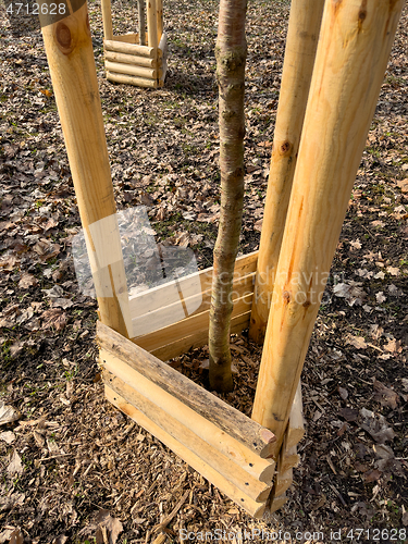 Image of Planting trees in park