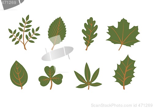 Image of set of vector leaf shapes