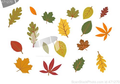 Image of autumn leaves illustration