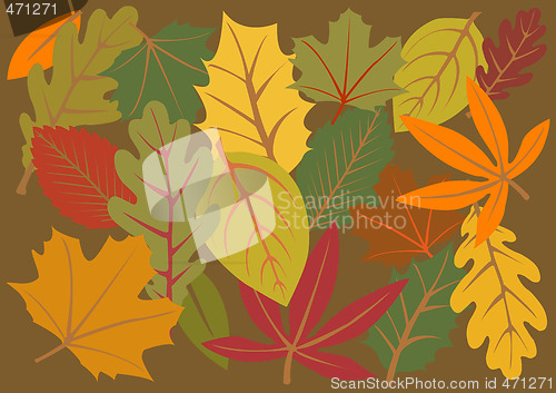 Image of autumn leaves