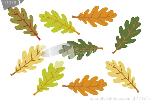 Image of colorful autumn leaves 