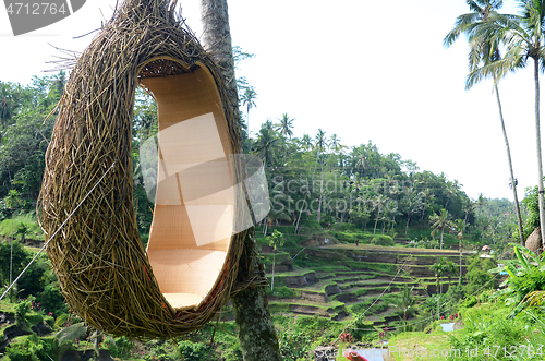 Image of Tegalalang rice terraces in Ubud, Bali