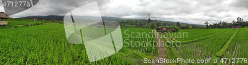 Image of Jatiluwih rice terraces in Tabanan, Bali, Indonesia.